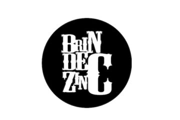 brin de zinc logo