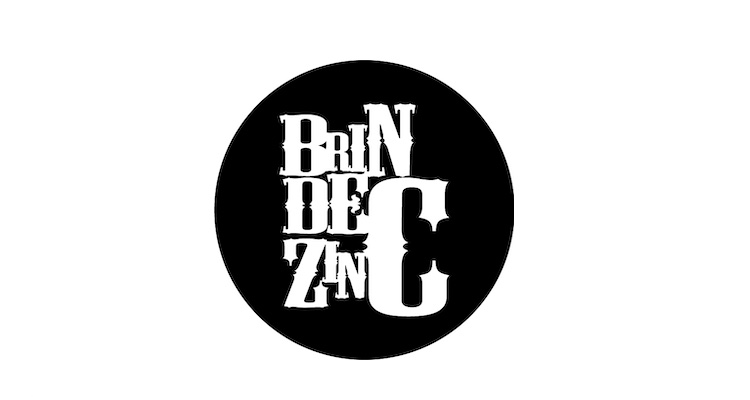 brin de zinc logo