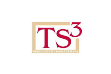 ts3 production