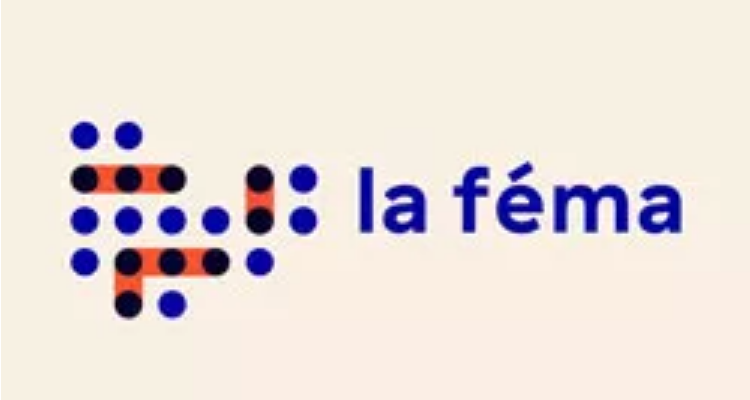 fema logo