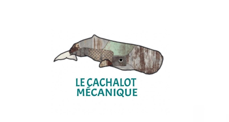 cachalot mecanique
